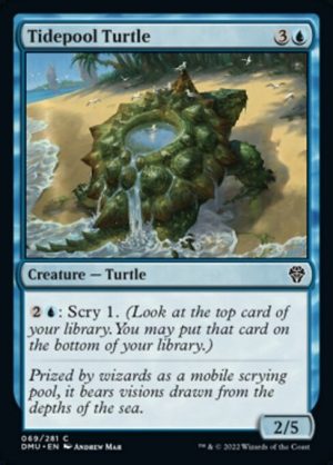 Tidepool Turtle - Dominaria United-(069)
