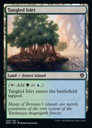 Tangled Islet - Dominaria United-(258)