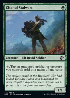 Citanul Stalwart - The Brothers' War-(175)