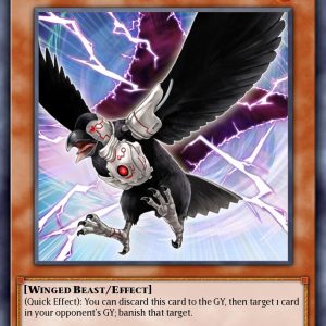 D.D. Crow - (Ultra Rare)- (25th Anniversary Rarity Collection II) - (RA02-EN002)