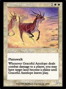 Graceful Antelope - Odyssey-(024)