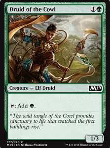 Druid of the Cowl - Core Set 2019-(177)