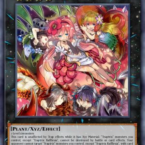 Traptrix Rafflesia - (Secret Rare)- (25th Anniversary Rarity Collection II) - (RA02-EN034)