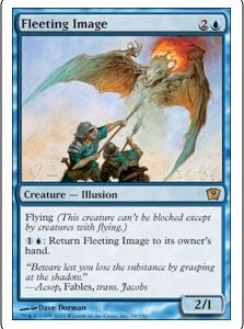 Fleeting Image - Ninth Edition-(078)