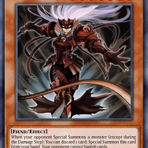 Chaos Hunter - (Secret Rare)- (25th Anniversary Rarity Collection II) - (RA02-EN007)