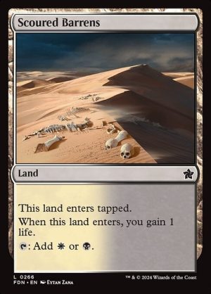 Scoured Barrens - Foundations-(266)
