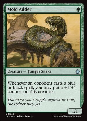 Mold Adder - Foundations-(640)