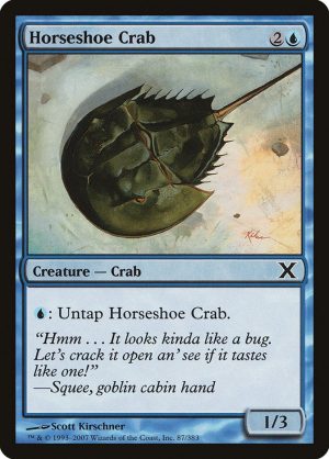 Horseshoe Crab - Tenth Edition-(087)