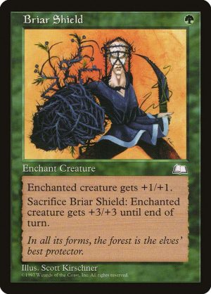 Briar Shield - Weatherlight-(063)