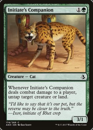 Initiate's Companion - Amonkhet-(174)