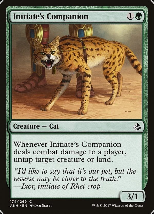 Initiate's Companion - Amonkhet-(174)