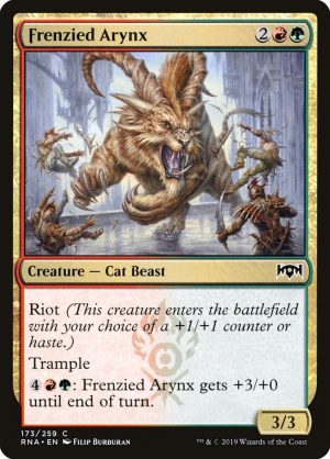 Frenzied Arynx - Ravnica Allegiance-(173)