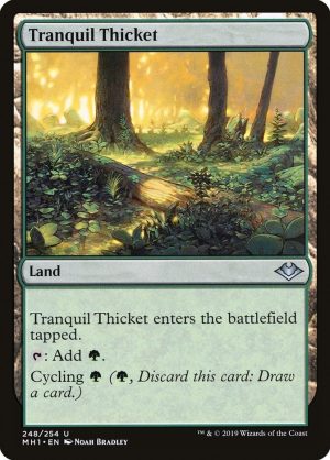 Tranquil Thicket - Modern Horizons-(248)-Foil