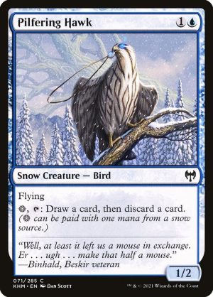 Pilfering Hawk - Kaldheim-(071)-Foil