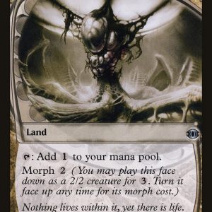 Zoetic Cavern - Future Sight-(180)