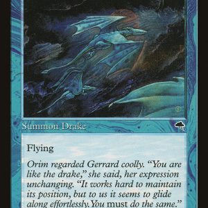 Wind Drake - Tempest-(105)