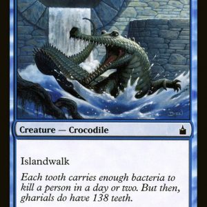 Grayscaled Gharial - Ravnica: City of Guilds-(052)