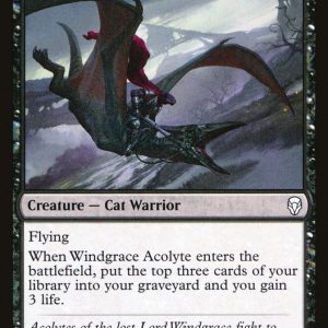 Windgrace Acolyte - Dominaria-(112)-Foil