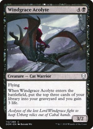 Windgrace Acolyte - Dominaria-(112)-Foil