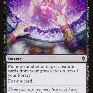 Forever Young - Throne of Eldraine-(089)