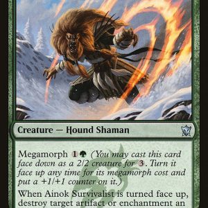 Ainok Survivalist - The List-(172)