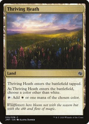 Thriving Heath - Jumpstart-(035)