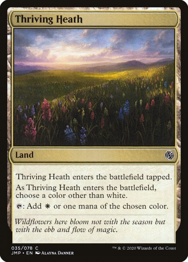 Thriving Heath - Jumpstart-(035)