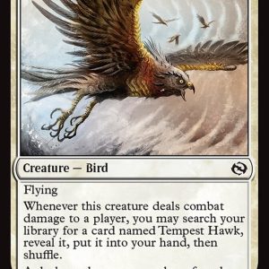 Tempest Hawk - Tarkir: Dragonstorm-(031)