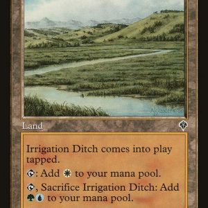 Irrigation Ditch - Invasion-(324)