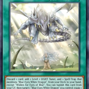 Wishes for Eyes of Blue - (Structure Deck: Blue-Eyes White Destiny) - (SDWD-EN042) - (ScR)