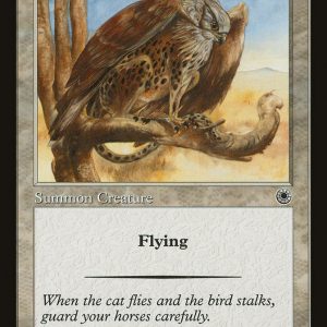Spotted Griffin - Portal-(190)