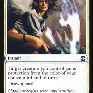 Shelter - Eternal Masters-(029)