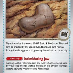 Antique Jaw Fossil
