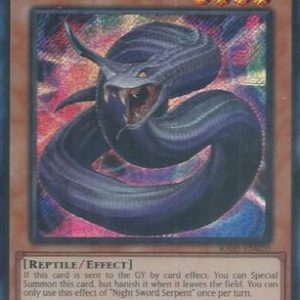 Night Sword Serpent (Secret Rare)