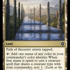 Path of Ancestry