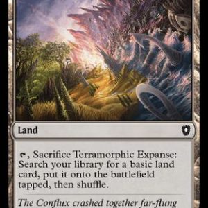 Terramorphic Expanse