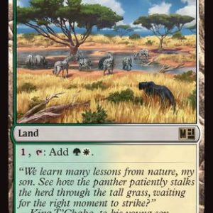 Sungrass Prairie (SF)
