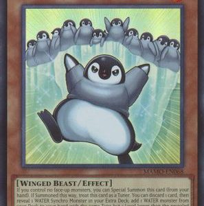 First Penguin