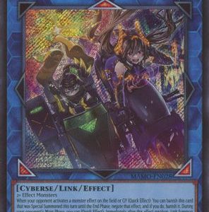 W:P Fancy Ball (Secret Rare)