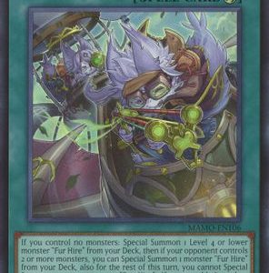 Whirlwind Fur Hire